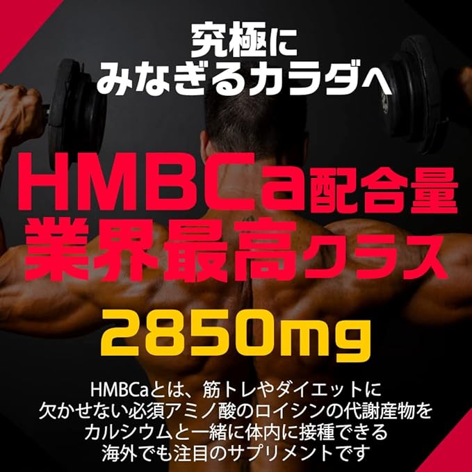 Hongo HMB PERFECT HMB Perfect Nutritional Supplement HMB Calcium Tablet Contains 7 types of amino acids (valine, creatine, leucine, isoleucine, carnitine, arginine, glutamine) (300 tablets) - BeesActive Australia