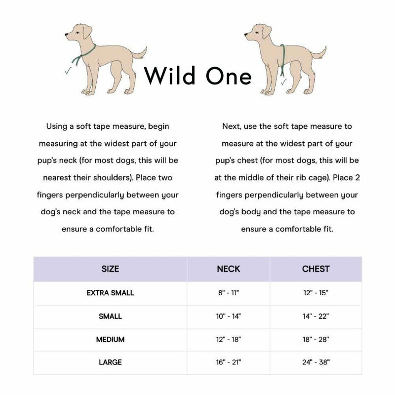 Wild One Dog Harness, No-Pull Pet Harness with 3 Leash Clips, Adjustable Soft Padded Dog Vest, Comfortable, Stretchy Black S - BeesActive Australia