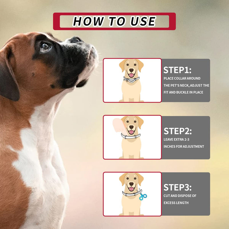 Flea and Tick Collar for Dogs, Flea and Tick Prevention for Dog, 27 Inch, 8 Month Protection 2 PACK DOG - BeesActive Australia