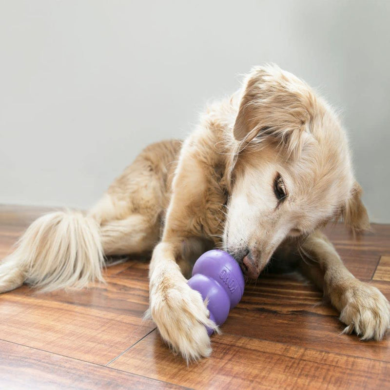 KONG - Senior Dog Toy Gentle Natural Rubber - Fun to Chew, Chase and Fetch Medium Standard Packaging - BeesActive Australia