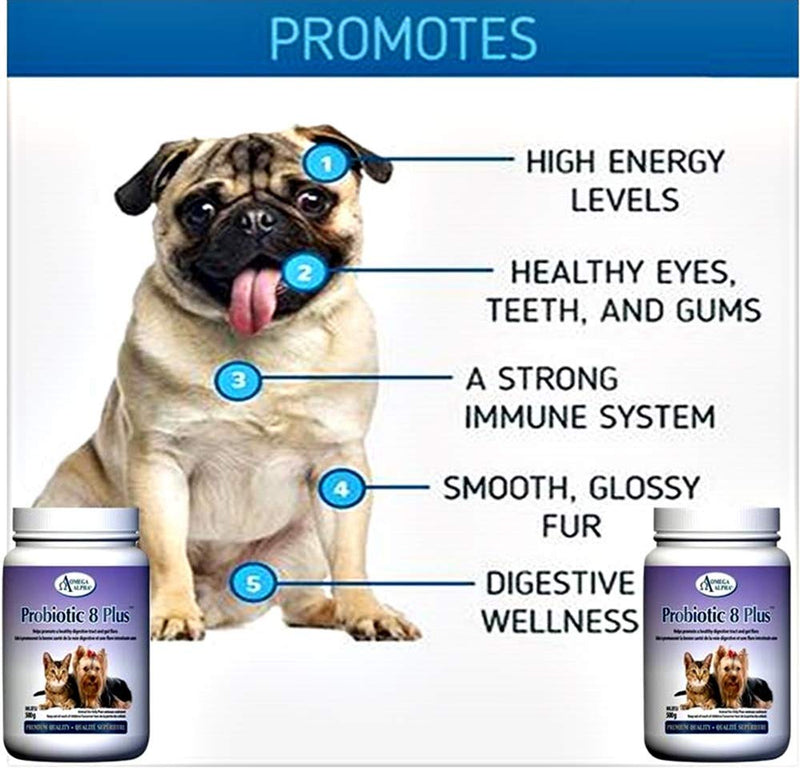 Omega Alpha Pet Probiotic 8 Plus - Probiotics, Enzymes, and Fibre for Better Pet Digestion.-500g - BeesActive Australia