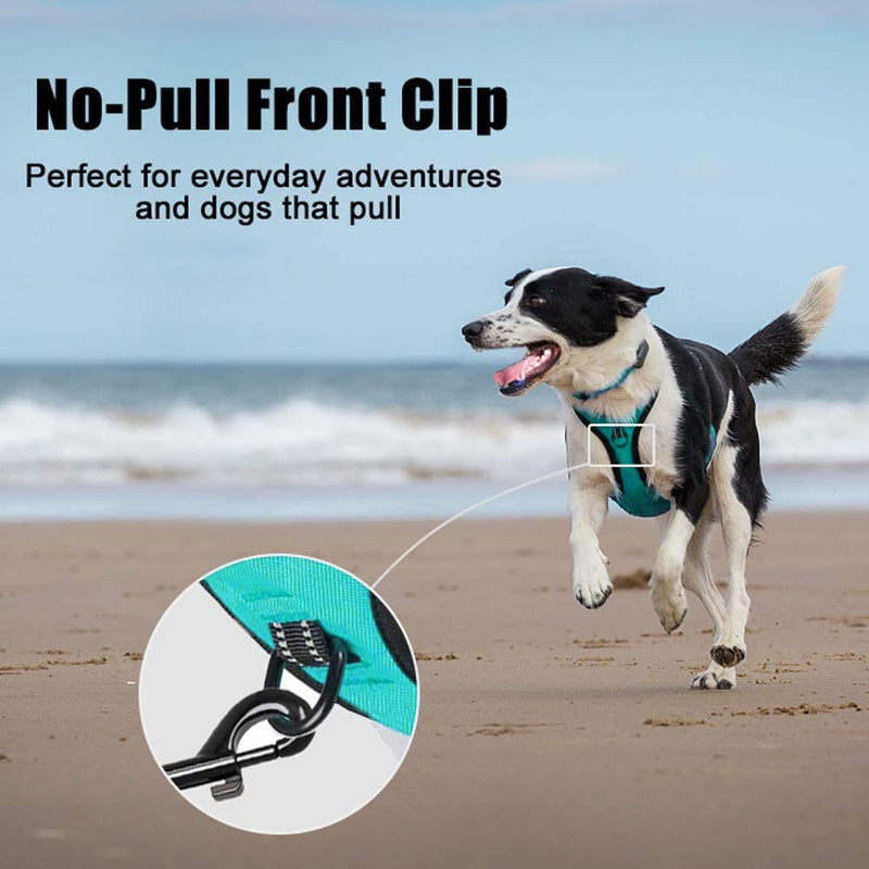 PoyPet No Pull Dog Harness, Reflective Vest Harness with 2 Leash Attachments and Easy Control Handle for Small Medium Large Dog Mint Blue - BeesActive Australia