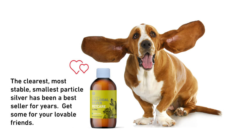 Nature's Greatest Secret Premium Quality Antibacterial Colloidal Silver Petcare 10ppm Bottle 500ml - BeesActive Australia