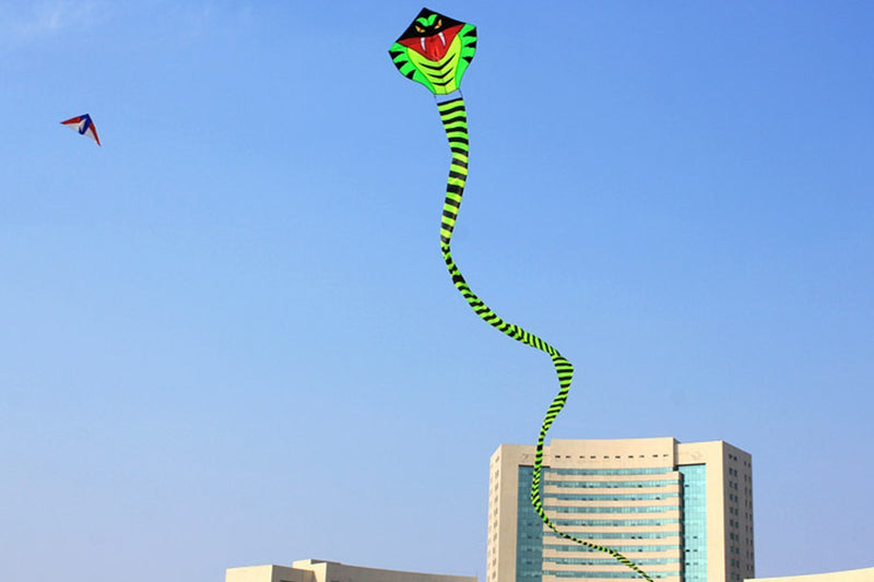 [AUSTRALIA] - Hengda kite 15m Large Power Snake Kites with Flying Line Outdoor Fun Sports Kite Cobra 