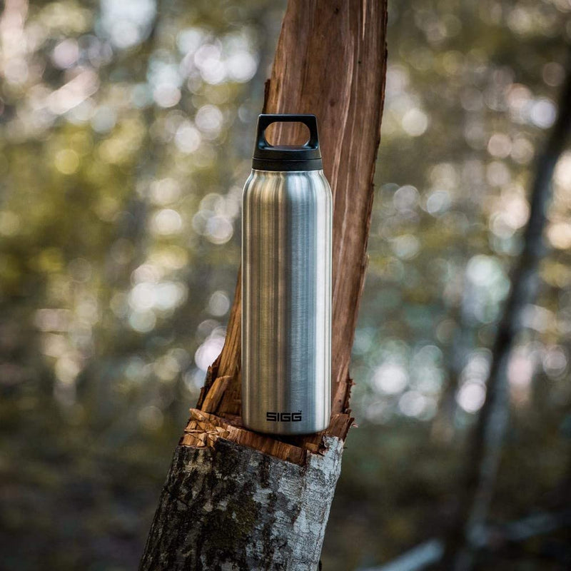 SIGG Hot & Cold Brushed Thermo Water Bottle (0.5 L), Pollutant-Free and Insulated Thermos Flask, Thermal Stainless Steel Water Bottle Multicolor 17 oz - BeesActive Australia