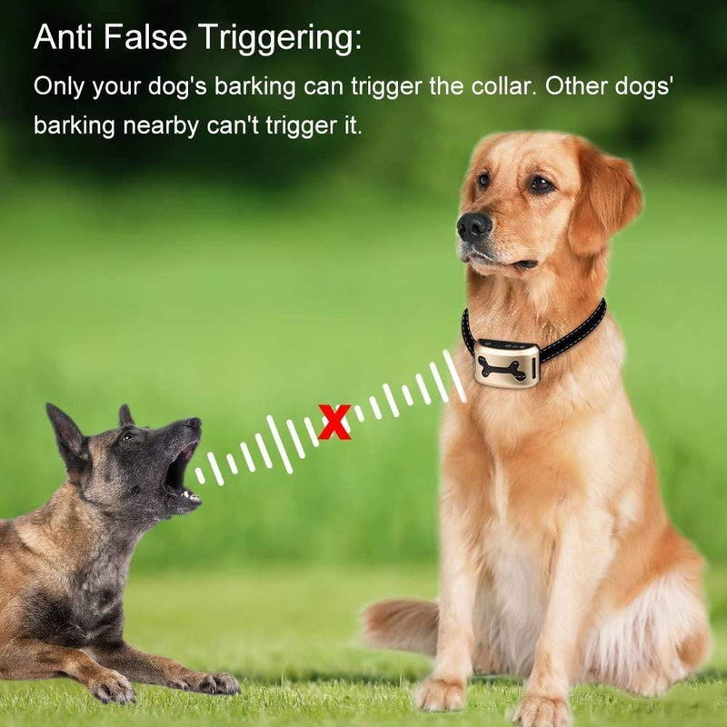 Rechargeable Dog Barking Control Training Collar Beep/Vibration/Safe Shock or No/Sensitivity Anti Bark Reflective Collar for Small Medium Large Dogs - BeesActive Australia