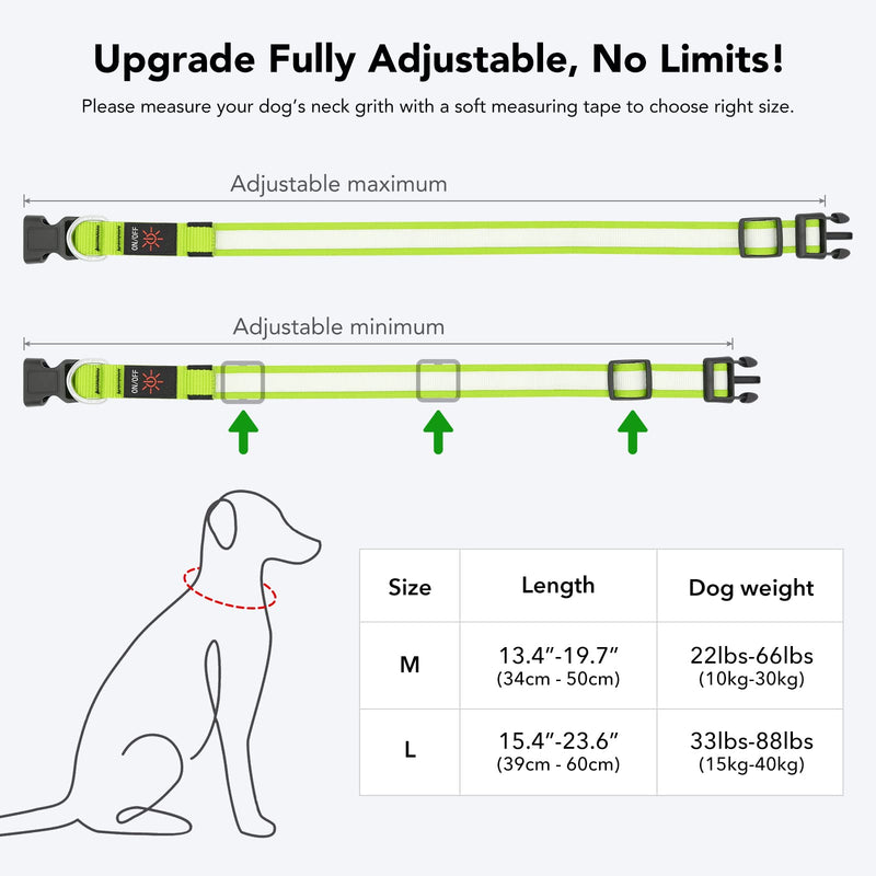 PZRLit LED Light Up Dog Collars Micro USB Rechargeable Waterproof, Full Adjustable & Bright Lighted Glow Dark Dog Collar Light for Night Walking for Large Medium Small Dogs Green - BeesActive Australia