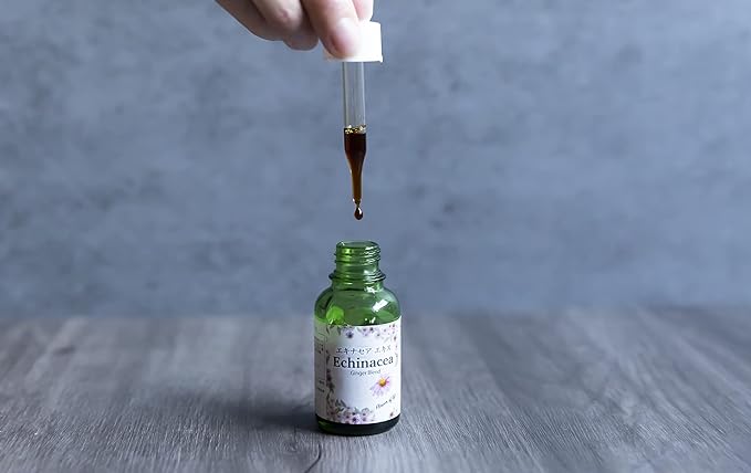 Echinacea Concentrated Extract (Made in Japan) Simply Mix with Water - BeesActive Australia