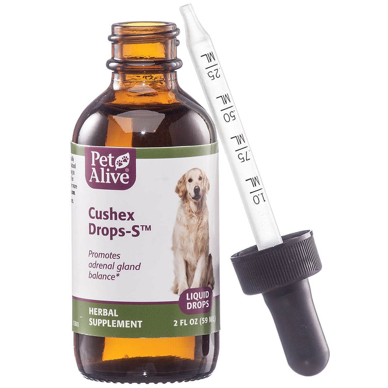 PetAlive Complete Cushex ComboPack for Adrenal Gland Balance, Cushing's Related Support and Symptom Relief Cushex Drops-S - BeesActive Australia
