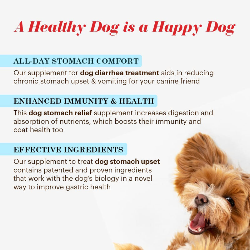 Vitalize Alimend K9 - Dog Upset Stomach Relief for Nausea, Vomiting & Diarrhea - 6 Oz - BeesActive Australia