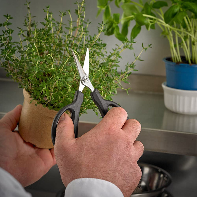 Mercer Culinary Herb Snips, 6 1/2-Inch - BeesActive Australia