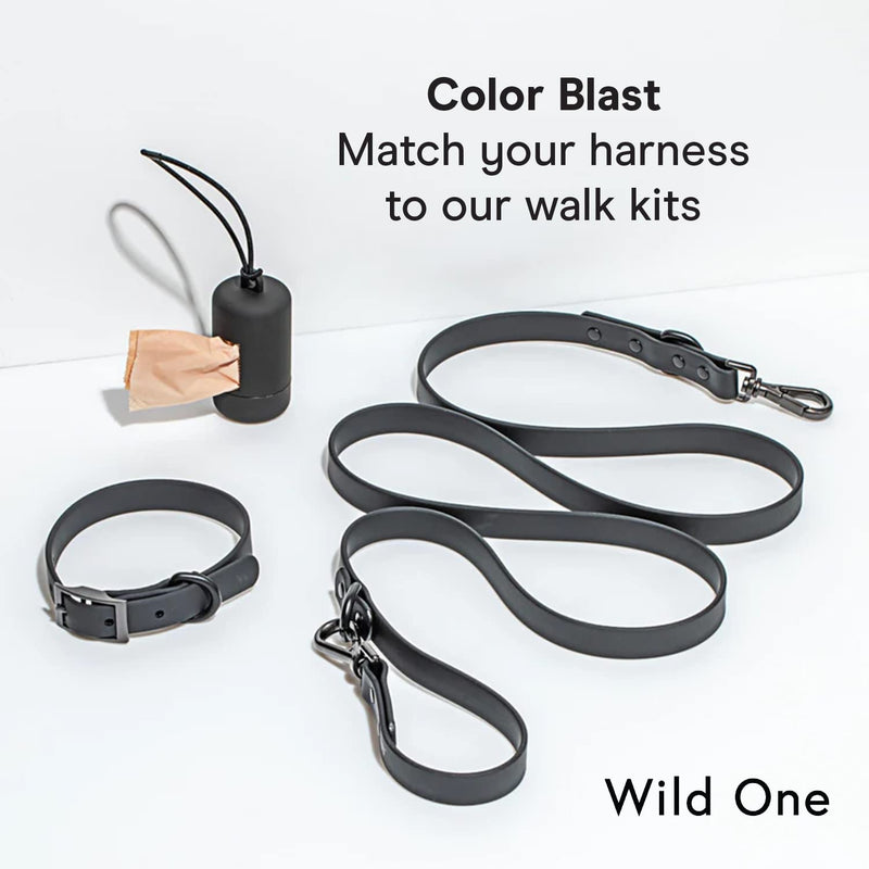 Wild One Dog Harness, No-Pull Pet Harness with 3 Leash Clips, Adjustable Soft Padded Dog Vest, Comfortable, Stretchy Black S - BeesActive Australia