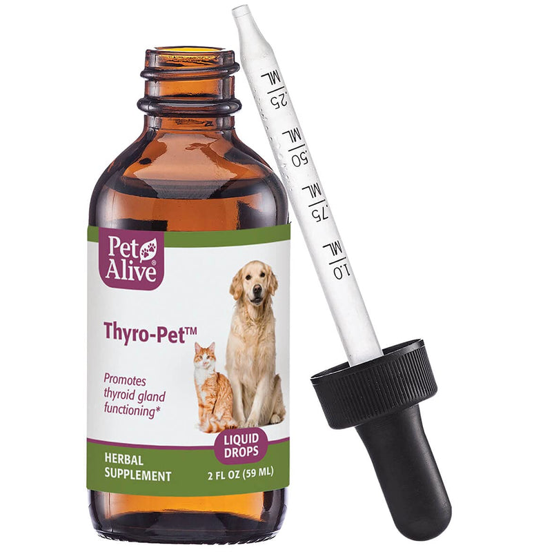 All Natural Herbal Supplement Promotes Normal Thyroid Gland Functioning in Dogs and Cats - Helps Address Common Hypothyroidism Symptoms in Pets One Size Fits All - BeesActive Australia