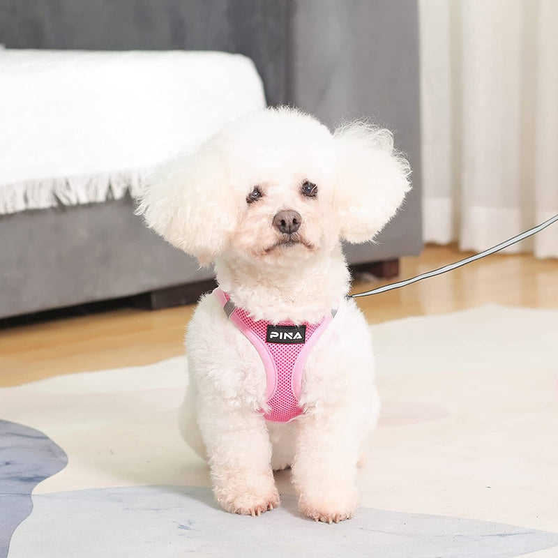 PINA Dog Harness for Small Medium Dogs No Pull, Dog Harness and Leash Set, No Choke Breathable Mesh Dog Vest Harness, Lightweight Adjustable Small Medium Dog Harness - Easy to Put On and Take Off S(Neck:10-13" ; Chest:14-17") Pink - BeesActive Australia
