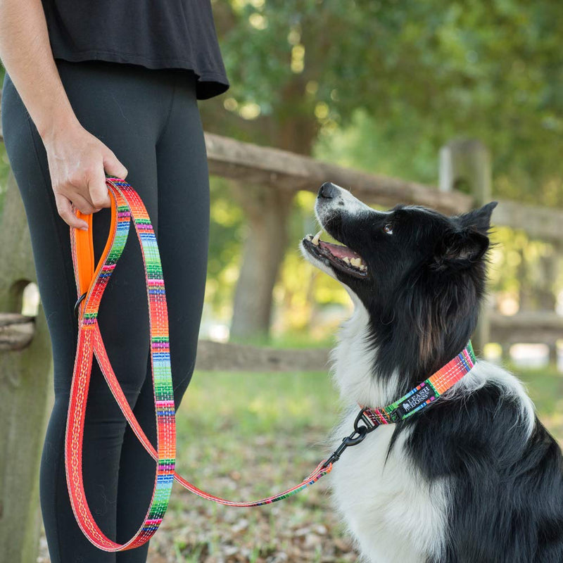 Leashboss Double-Thick 6Ft Reflective Leash with Padded Handle, Pattern Collection, Strong Leash for Large Dogs and Medium Dogs 6 Ft x 1" Wide Orange - Blanket - BeesActive Australia