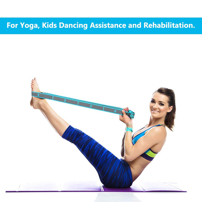 DEHUB Stretch Strap, Elastic Yoga Stretching Strap, Multi-Loop for Physical Therapy, Pilates, Yoga, Dance & Gymnastics Exercise and Flexible Pilates Stretch Band - BeesActive Australia