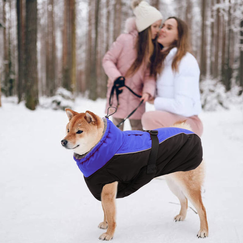 IECOii Extra Warm Dog Coat Reflective Adjustable Dog Jacket Dog Winter Coat with Buckle Fleece Turtleneck Dog Jacket for Cold Weather Soft Winter Coat for Small Medium Extra Large Dogs X-Large Blue - BeesActive Australia