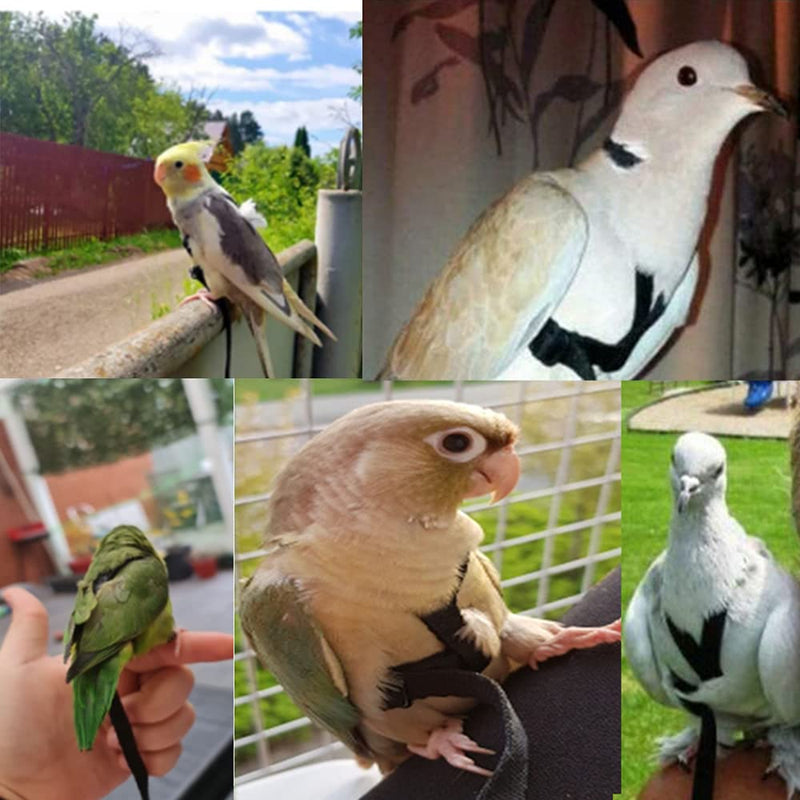 Anelekor Adjustable Birds Harness and Leash Parrot Harness Leash Training Supplies Pet Anti-bite Outdoor Flying Rope for Conures Budgerigar Lovebird Cockatiel Mynah Small Black - BeesActive Australia