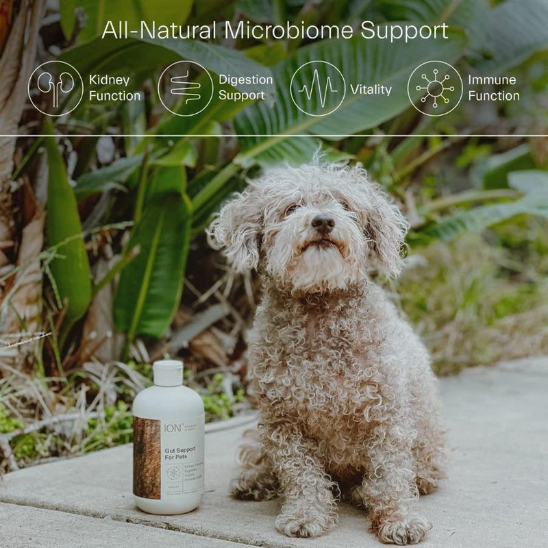 ION* Intelligence of Nature Gut Support for Pets | Strengthens Digestion, Supports Kidneys, Aids Immune Function, and Defends from Food Toxins 16 Ounce - BeesActive Australia