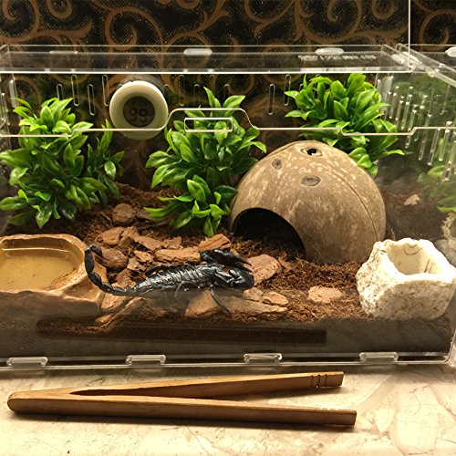 Natural Habitat Hideout Reptile, Lizard, Spider, Aquarium, Fish Hide Cave Hermit Crabs, Hamsters Natural Coco Hut Organic Non-Toxic Aquarium Decoration - BeesActive Australia