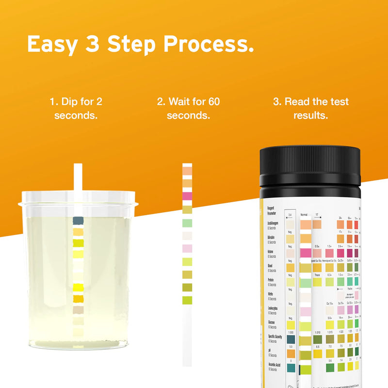 100 x Aydmed 11-in-1 Urinalysis Test Strips 11 Parameter Urine Test Strips for Urobilinogen, Bilirubin, Ketone, Blood, Protein, Nitrite, Leukocytes, Glucose, Specific Gravity, pH & Ascorbic Acid 100 Count (Pack of 1) - BeesActive Australia