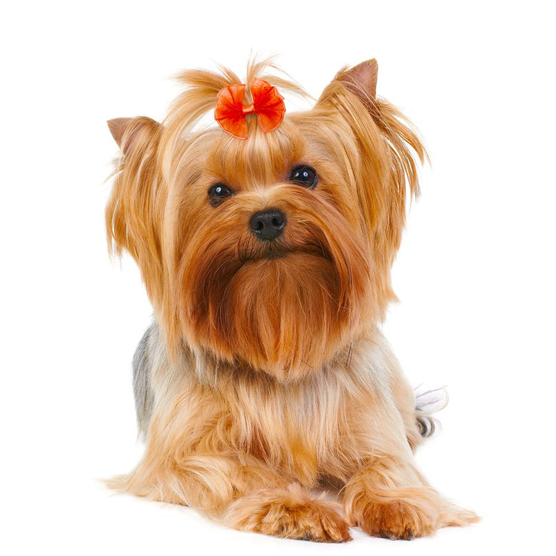Senniea 60PCS Pet Hair Bows, Puppy Dog Bows with Rubber Bands, 20pcs with Drills and 40 pcs Pure Yarn Handmade Pet Hair Grooming Attachments with Rubber Bands - BeesActive Australia