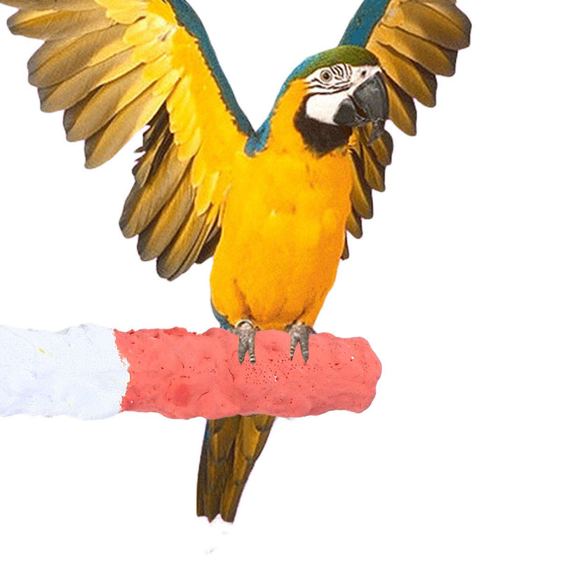 POPETPOP Bird Perches for Parrots-Cuttlebone Calcium Perch Standing Cuttlebone Holder for Birds Cage Accessories - BeesActive Australia