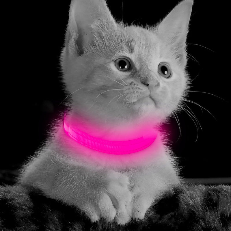 BSEEN Light Up Dog Collars - Rechargeable Glowing LED Dog Collar for Small Dogs & Cats Pink - BeesActive Australia