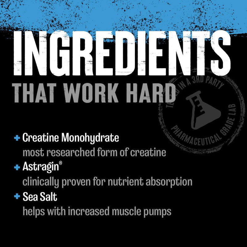 Animal Creatine Chews Tablets - Enhanced Creatine Monohydrate with AstraGin to Improve Absorption, Sea Salt for Added Pumps, Delicious and Convenient Chewable Tablets - Grape - 120 Count - BeesActive Australia