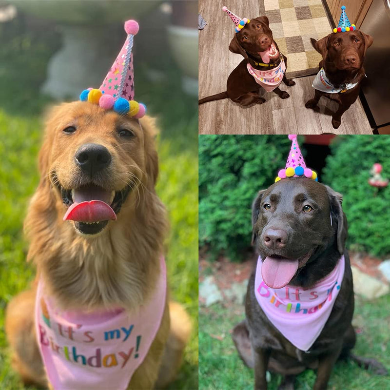 PUPTECK Dog Birthday Bandana Scarfs with Cute Doggie Birthday Party Hat Large Pink - BeesActive Australia