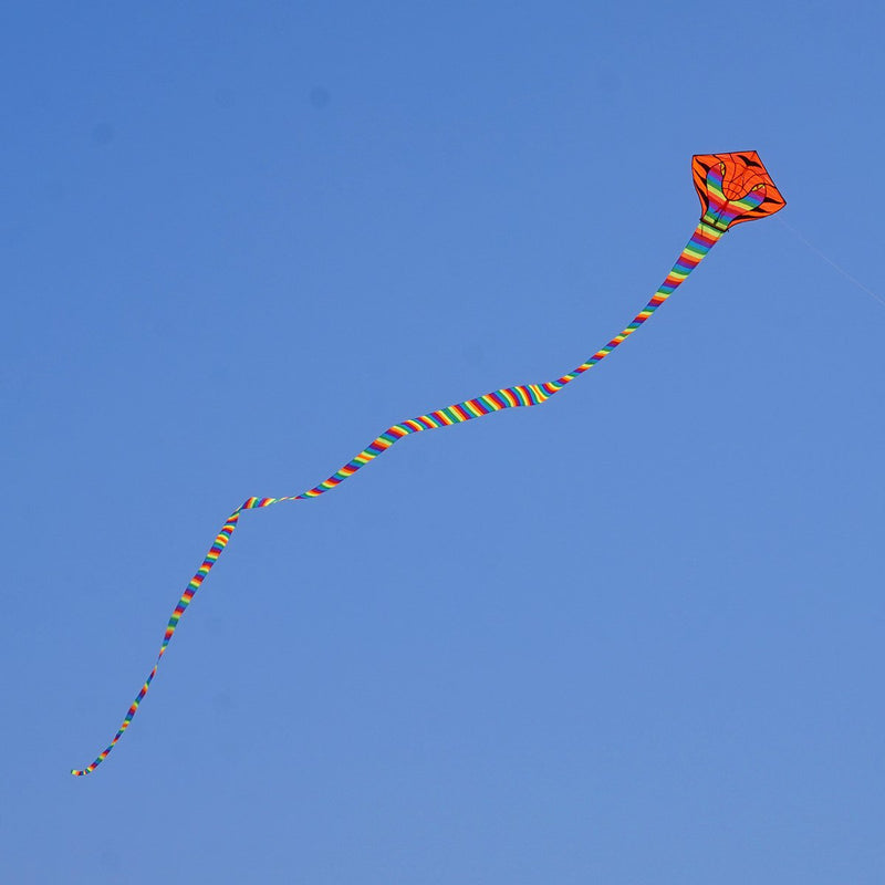 [AUSTRALIA] - Besra 16m Large Cobra Snake Kite 52ft Colorful Rattlesnake Kite with 15m Long Tails Outdoor Fun Sports with Flying Tools Rainbow 