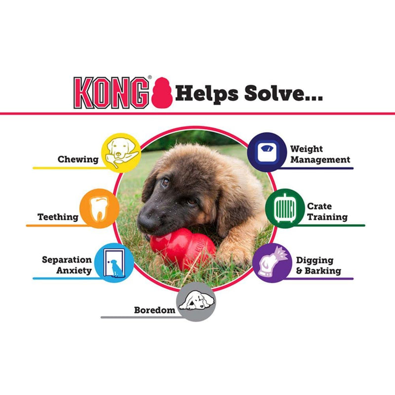 KONG - Senior Dog Toy Gentle Natural Rubber - Fun to Chew, Chase and Fetch Medium Standard Packaging - BeesActive Australia