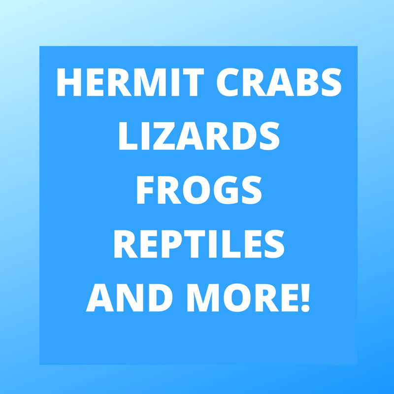 Needzo DIY Terrarium Supplies, Plastic Colorful Bridge Toy for Hermit Crabs and Small Animals, Bridges for Reptile Cages, 3 x 6.5 Inches Blue - BeesActive Australia