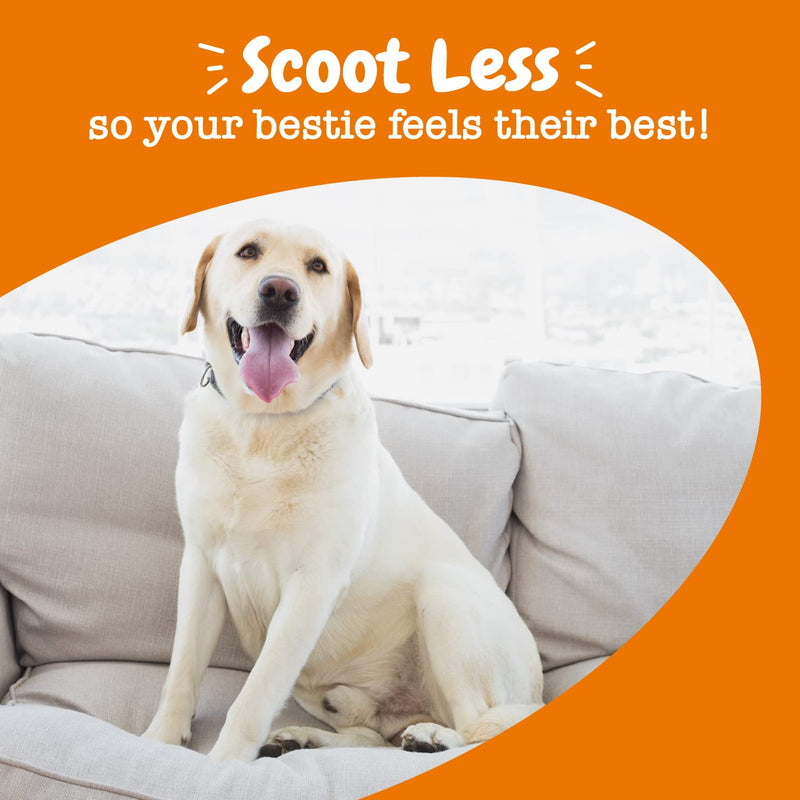 Zesty Paws Scoot Away Soft Chews for Dogs - with Bromelain Enzymes, Vita Fiber & Dandelion Root – for Gut Health & Support for Normal Bowel Movement Chicken 90 Count - BeesActive Australia