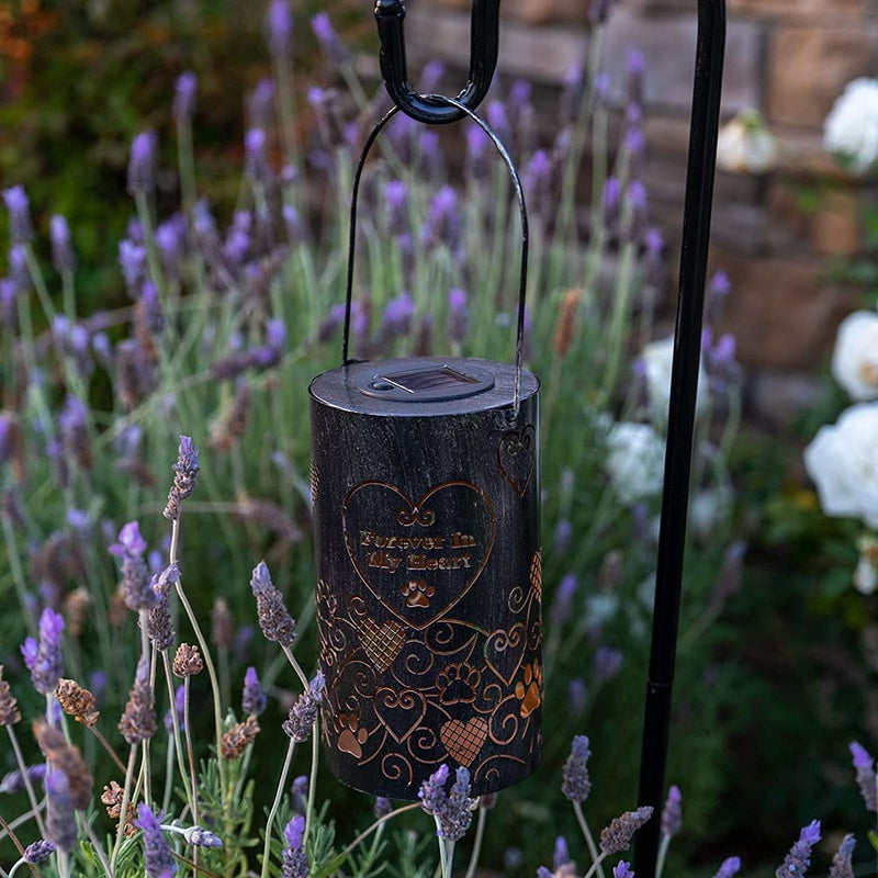 iHeartDogs Pet Memorial Gifts - Artisan Shadow Solar Lantern - This Pet Loss Gift Feeds 7 Shelter Pets in Honor of Your Departed Pet Forever in My Heart - BeesActive Australia