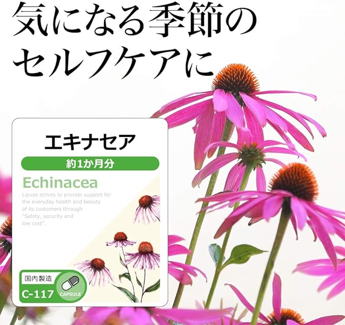 [Lipsa Official] Echinacea for about 1 month C-117 - BeesActive Australia