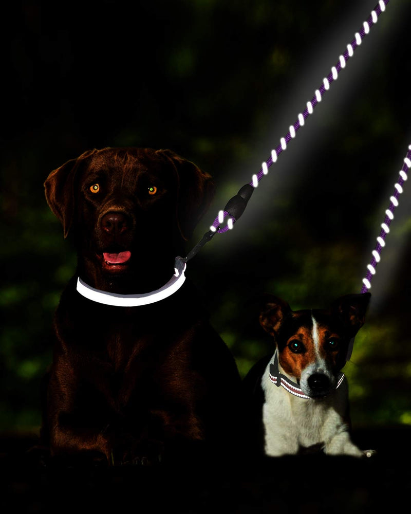 Taglory Double Dog Leash, Reflective Dual Dog Leash, 360 Swivel No Tangle Walking Double Leash for Puppy Small Dogs 30 Inch (Pack of 1) Purple - BeesActive Australia