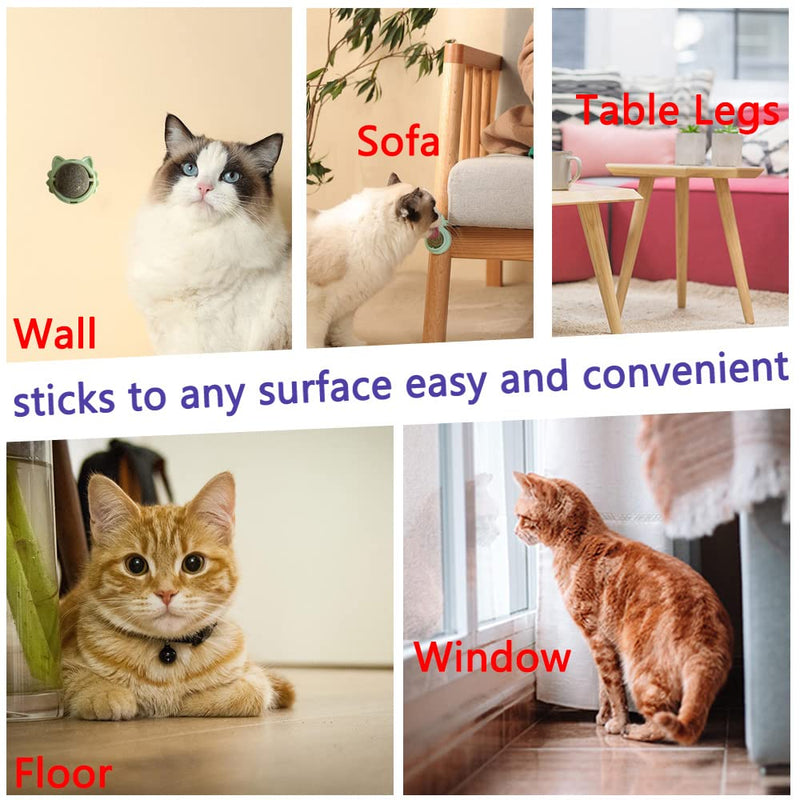 PODOO 3 Pack of Catnip Toys, Teeth Cleaning Cat Toy, Rotatable Edible Catnip Balls for Cats Wall, Self-Adhesive Cat Toys, Safe Healthy Kitten Chew Toy - BeesActive Australia