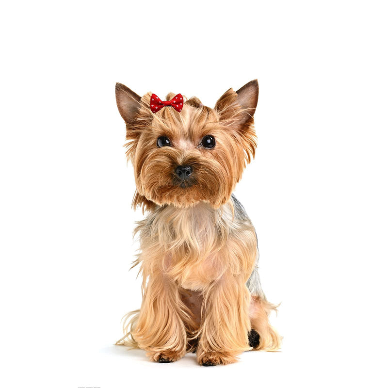 Clip in Dog Bows 60pcs in Box Dog Hair Bows Clips Dog Hair Clips Puppy Yorkie Accessories - BeesActive Australia