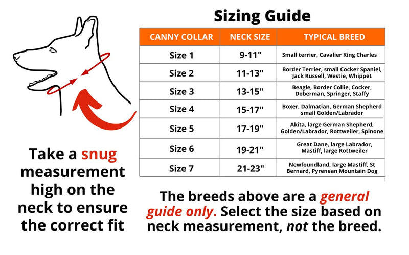 Canny Collar Dog Head Collar, No Pull Leash Training Head Harness, Easy to Fit Halter that Stops Pulling, Comfortable & Calm Control with Padded Collar, Kind To Your Dog, Enjoy Gentle Walks with Small, Medium or Large Dogs, Black, Blue, Purple & Red - BeesActive Australia