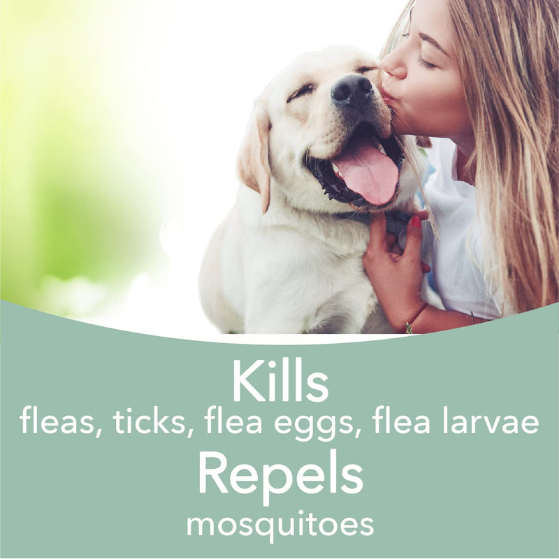 Hartz Nature’s Shield Flea & Tick Spray Treatment for Dogs, Natural and Effective Flea & Tick Prevention and Protection for Dogs with Cedarwood and Lemongrass Oil, 14 Ounces - BeesActive Australia