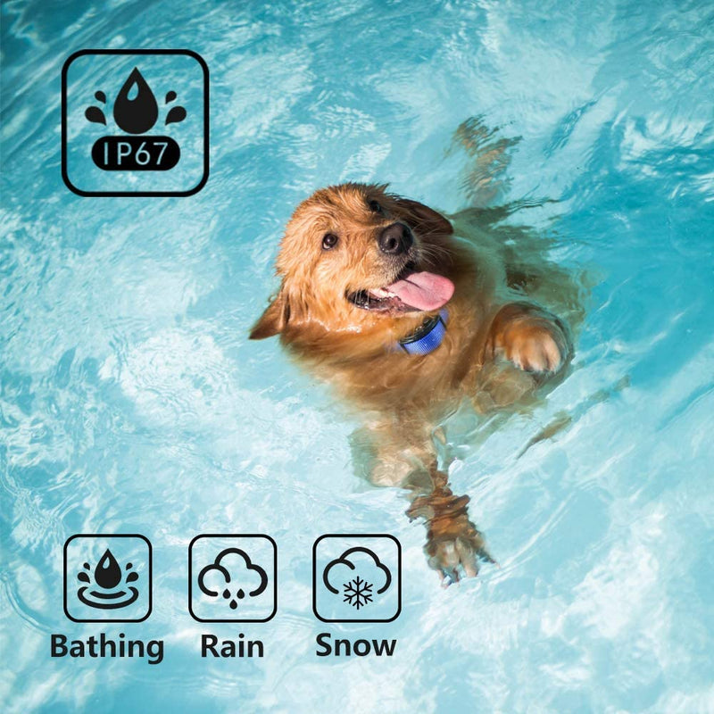 Paipaitek No Shock Dog Training Collar with Remote Vibration Beep Collar for Deaf Puppy Dogs Waterproof Rechargeable Humane Dog Widgets Training Collar - BeesActive Australia