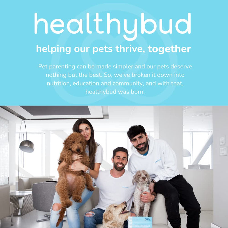 healthybud Turkey Healthy Gut Dog Treats & Food Topper, Sensitive Stomach Dog Treats - Dog Nutritional Supplement & Pet Chews, Probiotics, Prebiotics, Digestive Enzymes, Dog Stool Hardener 4.6 Ounce (Pack of 1) - BeesActive Australia