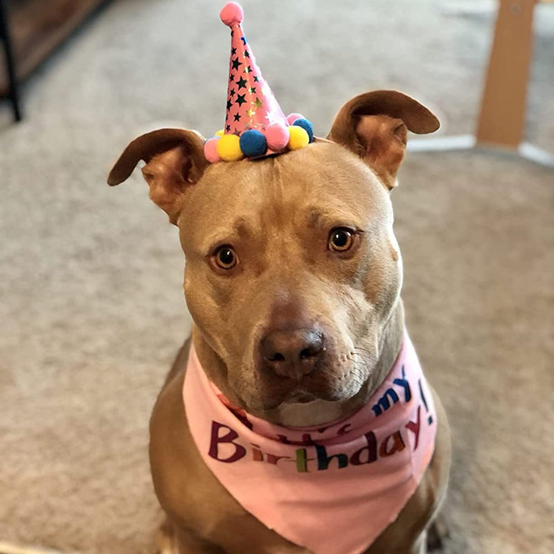 PUPTECK Dog Birthday Bandana Scarfs with Cute Doggie Birthday Party Hat Large Pink - BeesActive Australia