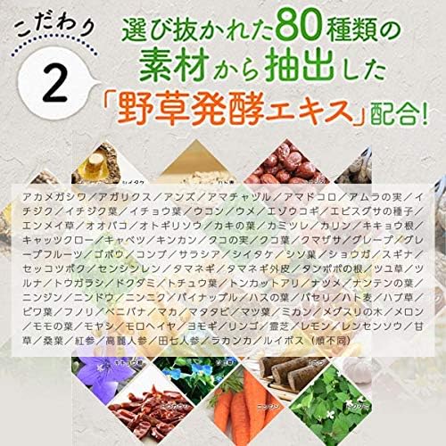 New Sursul Koso Enzyme Supplement Lactic Acid Bacteria (62 tablets) - BeesActive Australia