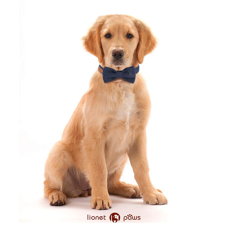 Lionet Paws Dog and Cat Collar with Bowtie, Soft and Comfortable, Adjustable Bowtie Collar for Small Medium Large Dogs Boy or Girl Gift Large (Pack of 1) Blue Point - BeesActive Australia