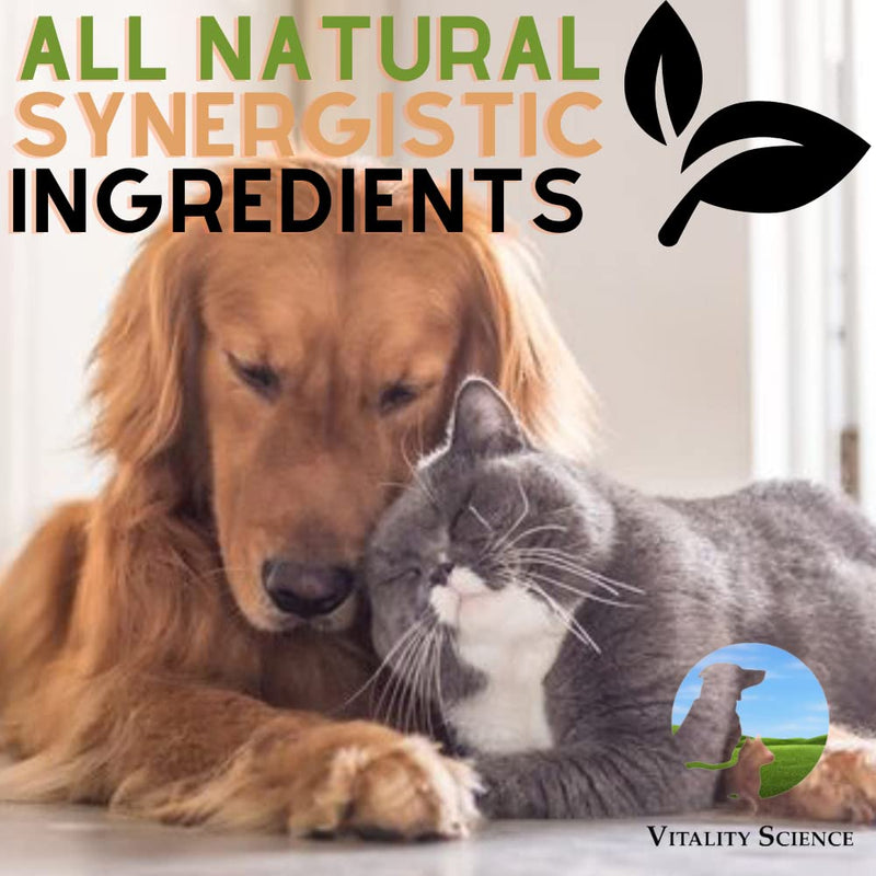 Vitality Science Super Food for Cats | High Potency Multi-Vitamin and Mineral Supplement | Increases Energy and Vitality | 100% Natural 98g - BeesActive Australia