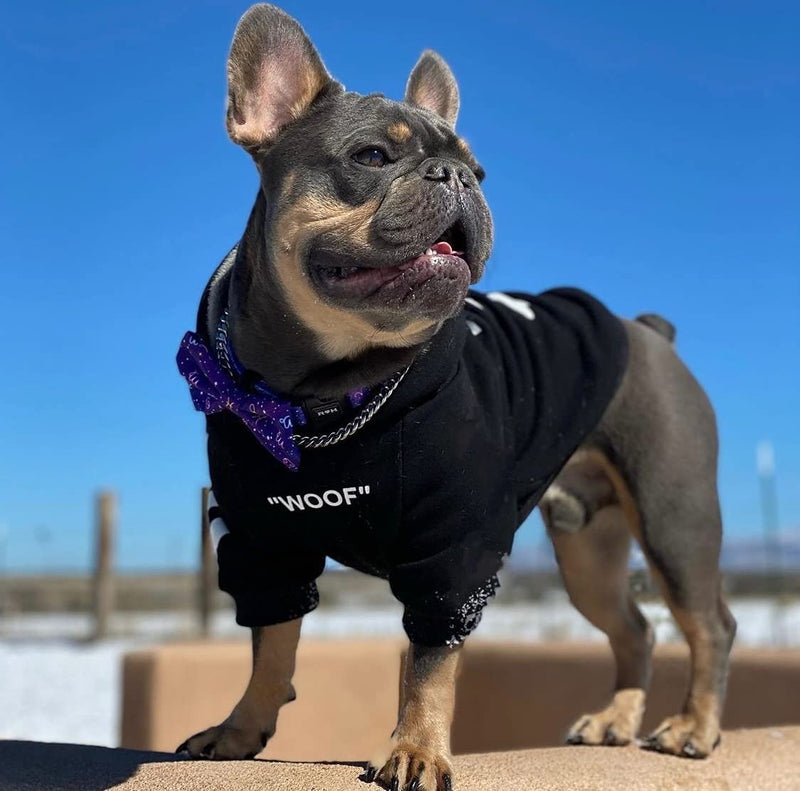 ChoChoCho Stylish Dog Hoodie Dog Clothes Streetwear Cotton Sweatshirt Fashion Outfit for Dogs Cats Puppy Small Medium Large 2XL (Chest: 21''-23.6'' / Suggest: 23-31 lbs) Black - BeesActive Australia