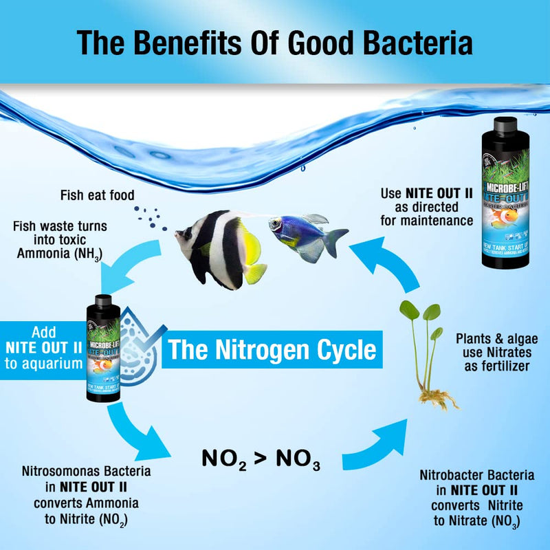 MICROBE-LIFT Nite-Out II Aquarium and Fish Tank Cleaner for Rapid Ammonia and Nitrite Reduction, Freshwater and Saltwater 16-ounce - BeesActive Australia