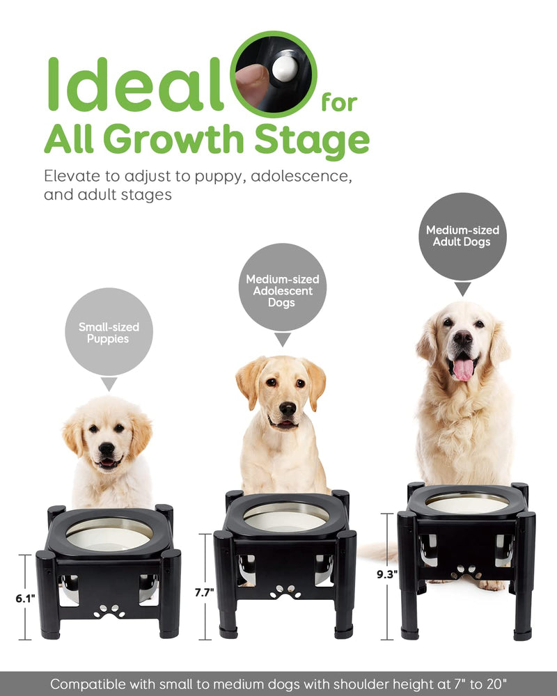 Pawque Elevated Dog Bowls with Slow Feeder Dog Bowl, Adjustable Raised Dog Bowl Stand with 3 Heights (6.1", 7.7", 9.3") for Medium and Small Sized Dog Cat, Mess Proof Non-Slip Pet Dish Feeder Holder Dog Water Bowl - BeesActive Australia